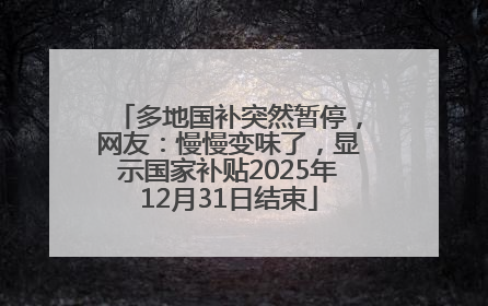 多地国补突然暂停，网友：慢慢变味了，显示国家补贴2025年12月31日结束
